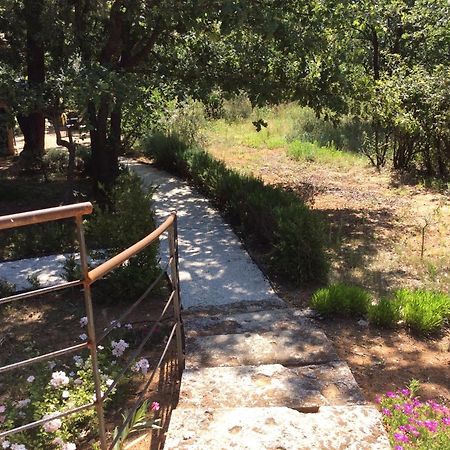 فيلا Le Bois De La Cour Roussillon en Isere المظهر الخارجي الصورة